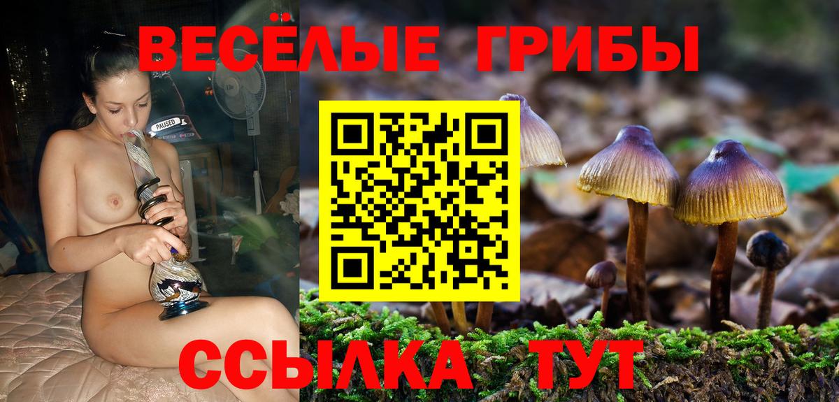 Пыть-Ях  Галлюциногенные грибы мухоморы  Вход с VPN 